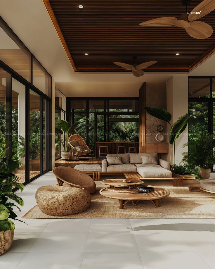 Modern tropical