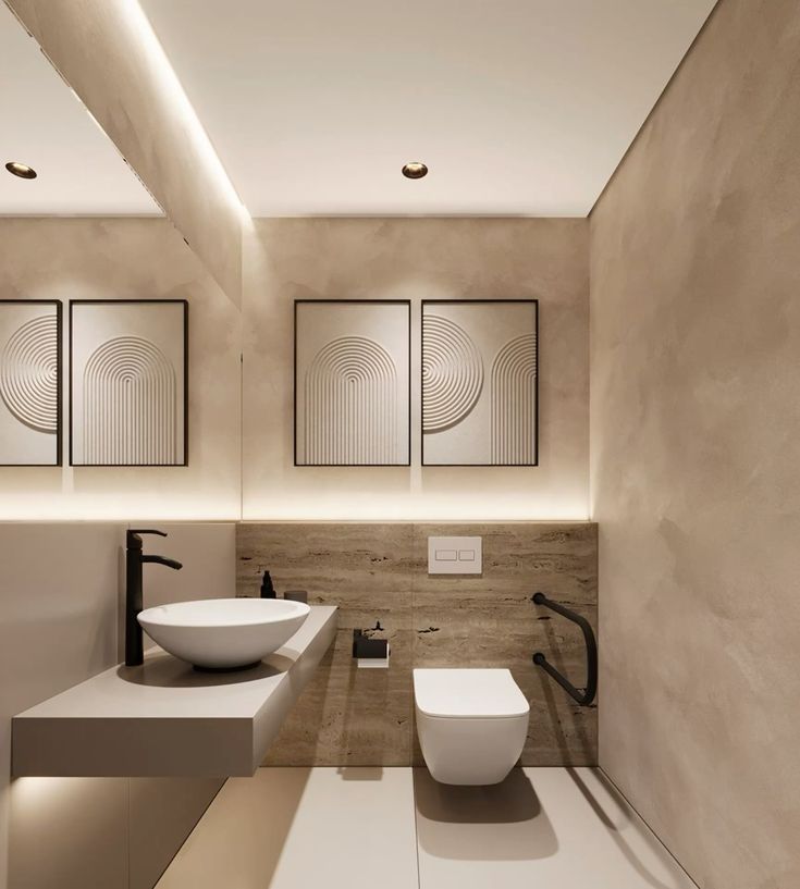 Grab bars near toilets